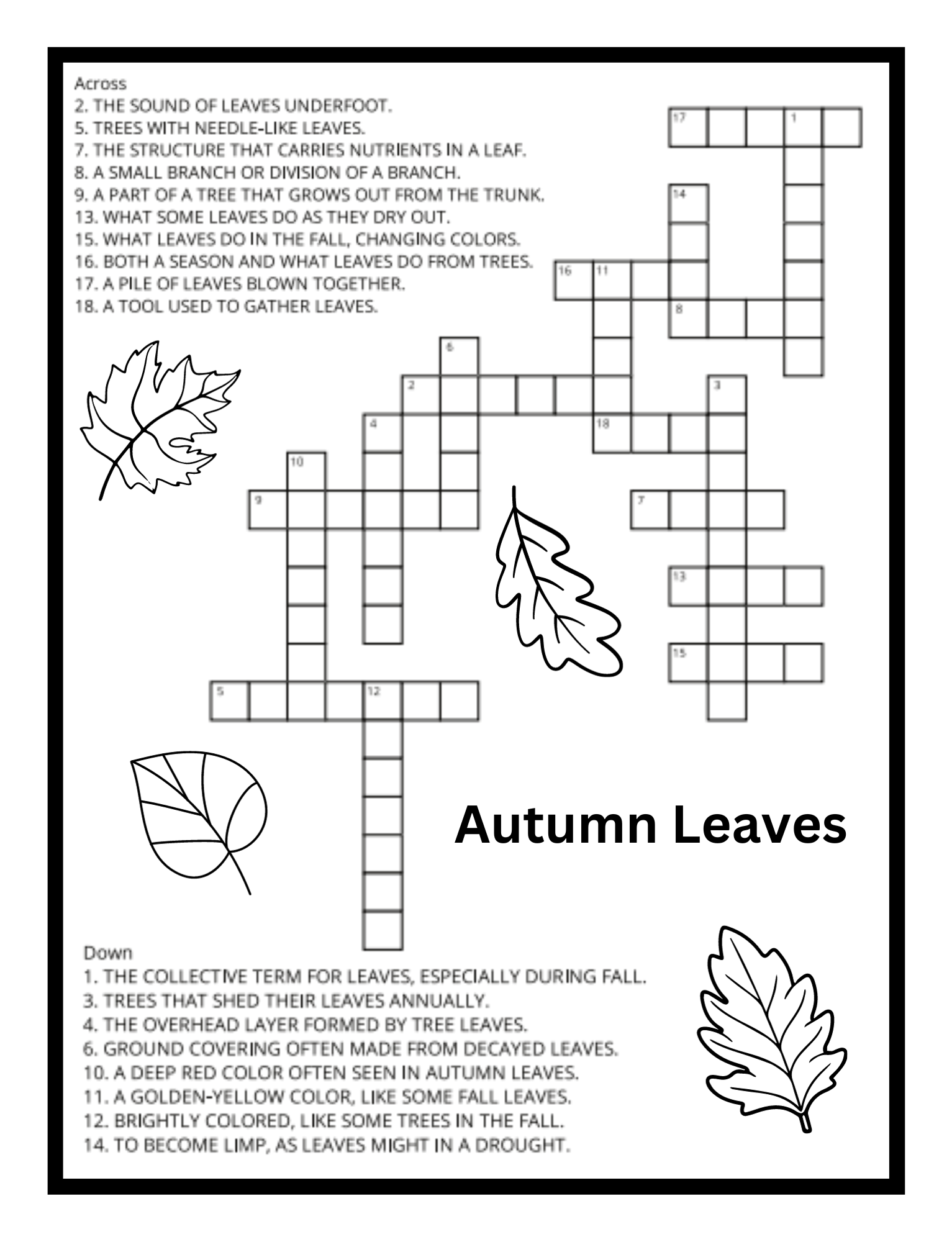 Autumn-themed word search puzzle – fun activity from the Falling Leaves Coloring and Activity Book by Ruby Doodle